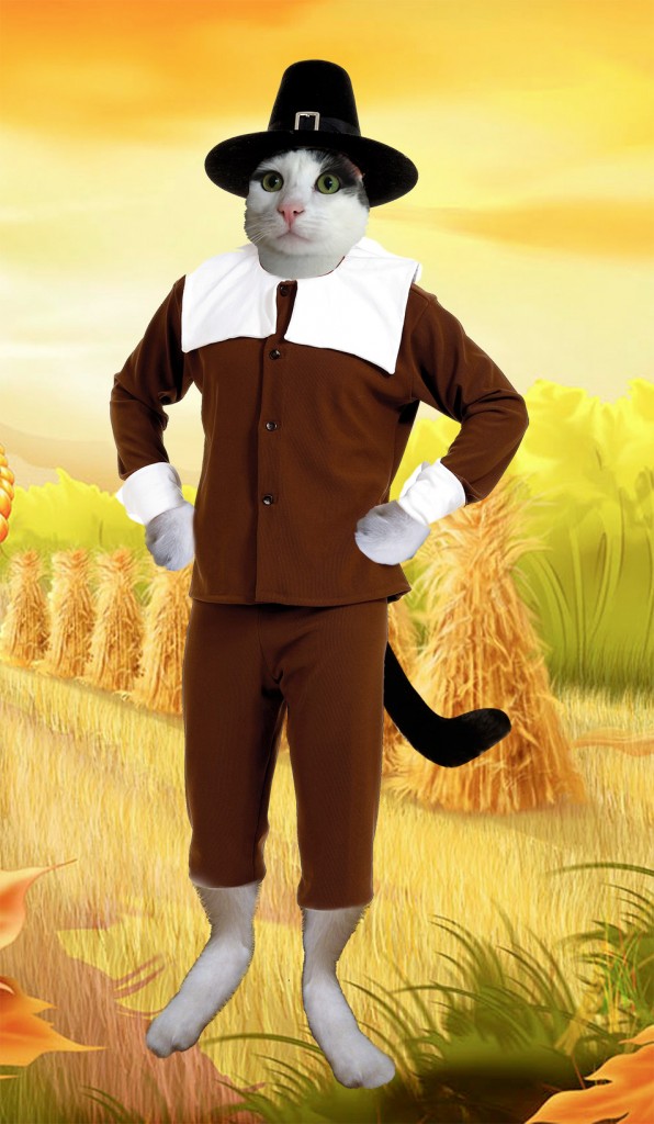 Wally the cat photoshopped into a Thanksgiving Day pilgrim costume.