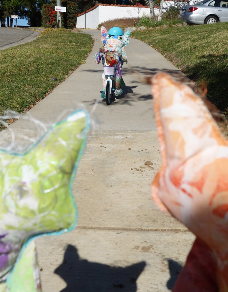 The Dude and Ginger wait as The Chairman peddles the bike downhill.