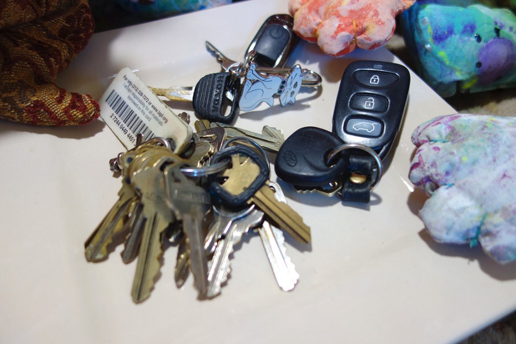 A plate full of way too many keys.