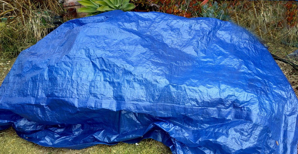 The Chairman's car is underneath a tarp.