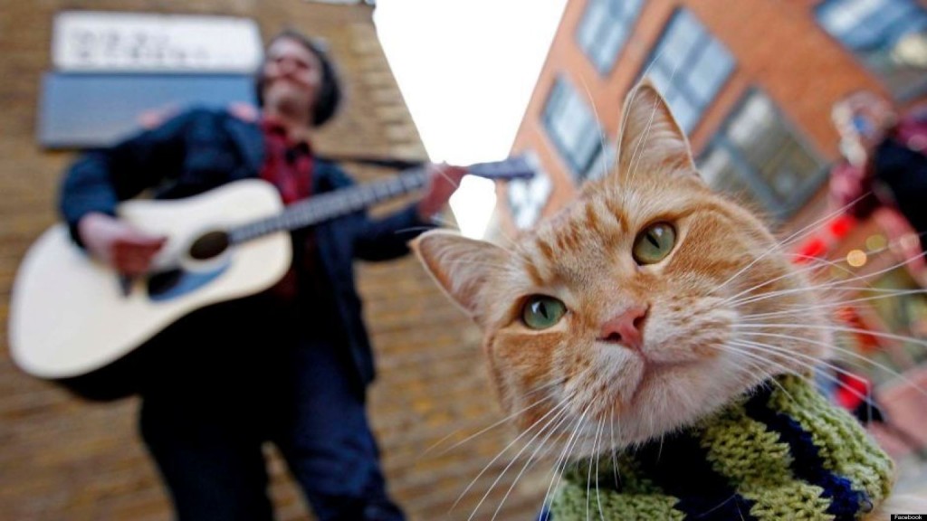 Bob the street cat sitting at the feet of James Bowen, his human companion, as James plays his guitar on the streets of London.