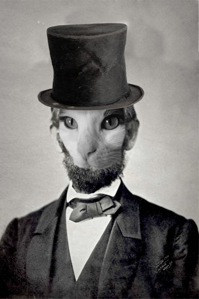 Wally, the real life cat's face is embedded on Abe Lincoln's face.