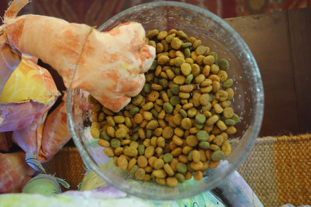 Crunchy cat food in a bowl.