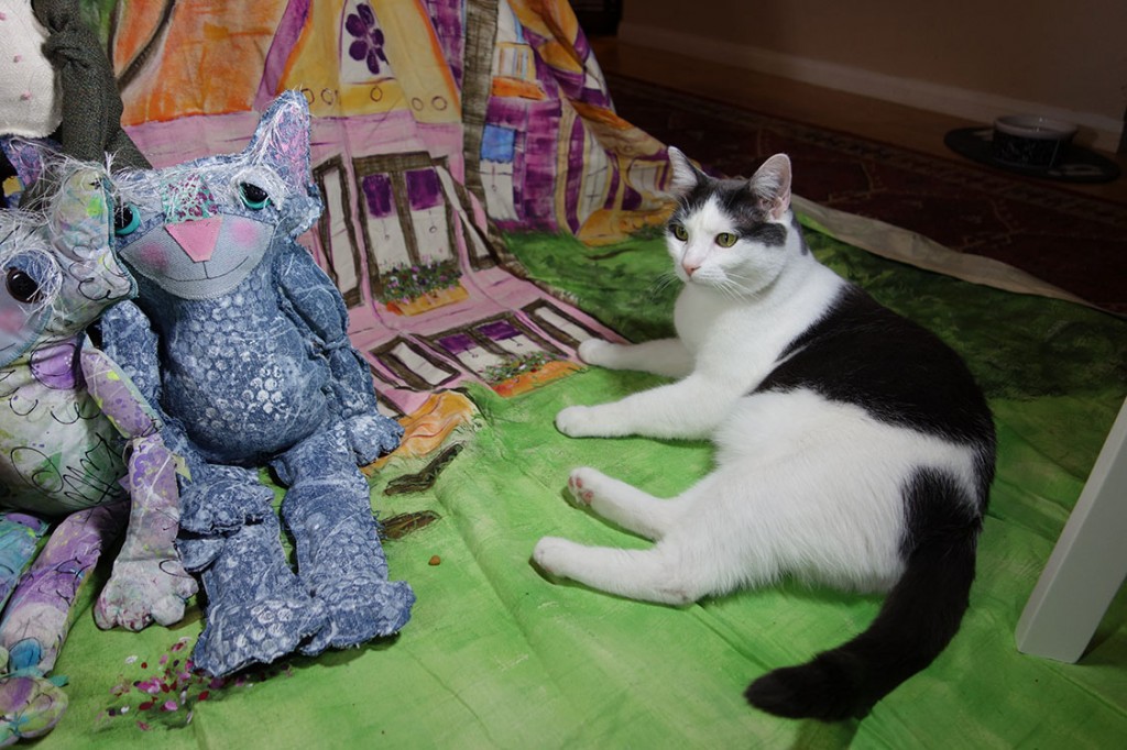 Wally, a real life cat, lays on the canvas near the cat dolls.