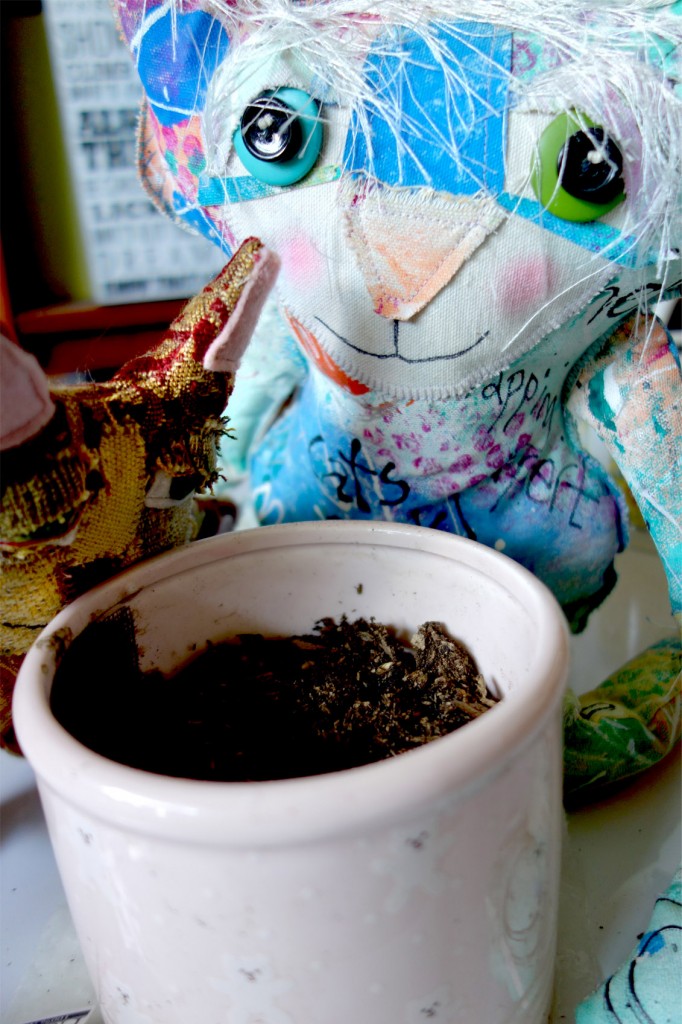 The Chairman and his cat sit with a dirt-filled pot.