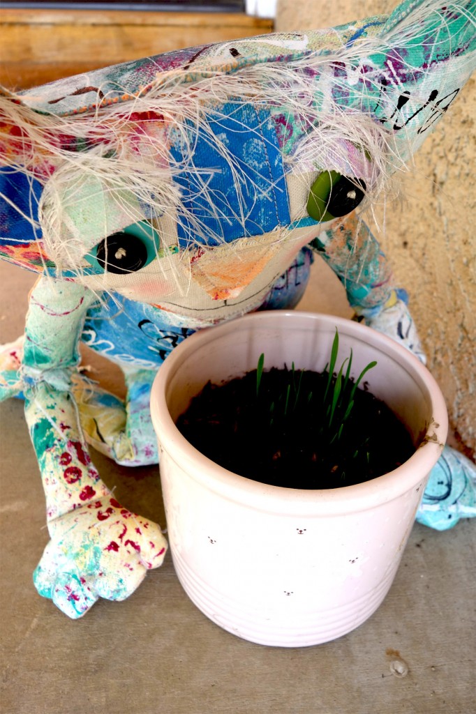 The Chairman cat doll is sitting by the pot of cat grass. Some sprouts are starting to show.