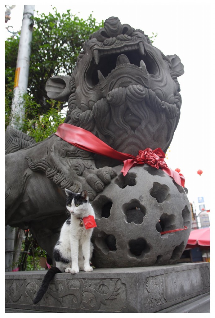 A black and white cat posing in front of a statue in Taiwan.