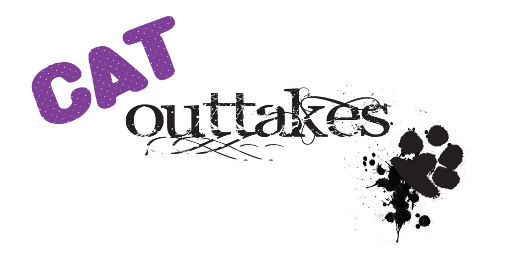 The logo for Cat Outtakes along with a paw print splat.