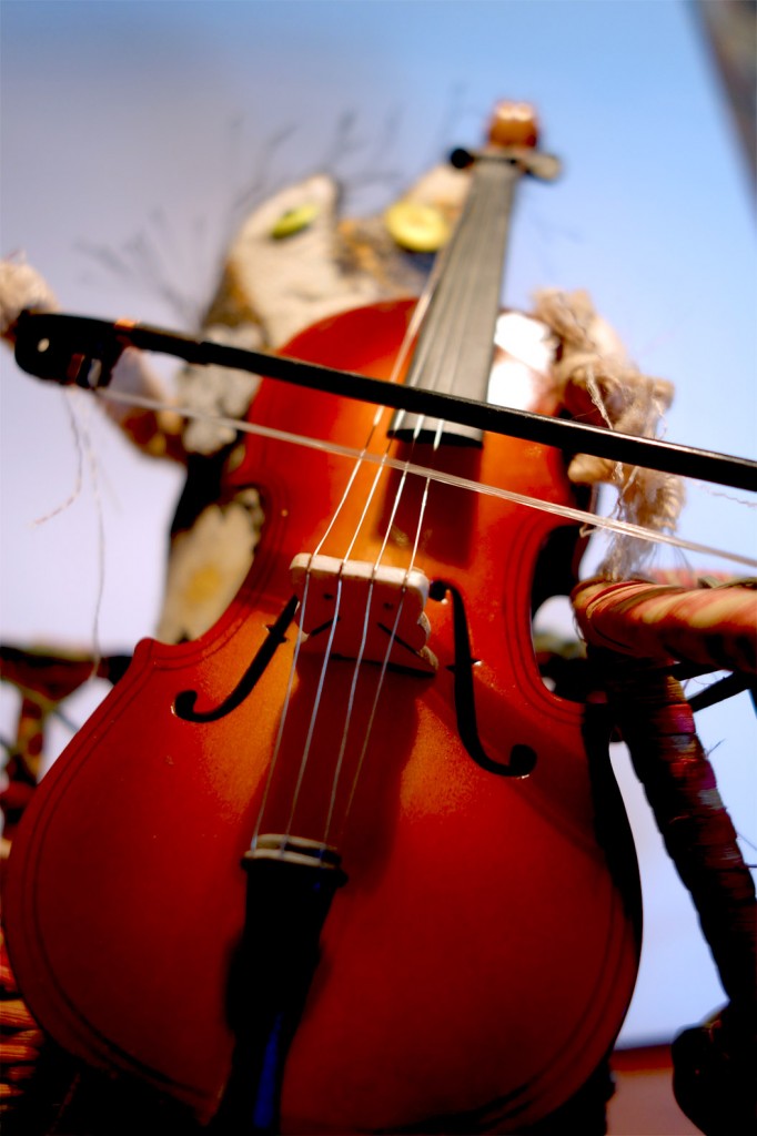 Frankencat is playing a mini cello!