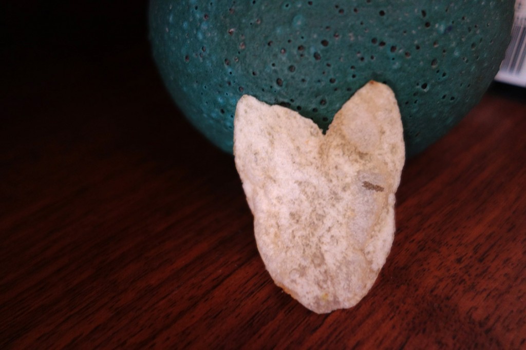 A photograph of a potato chip shaped like a cat's head.