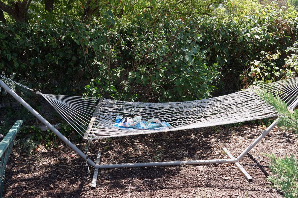 The Chairman is laying on his mat in a hammock outdoors.