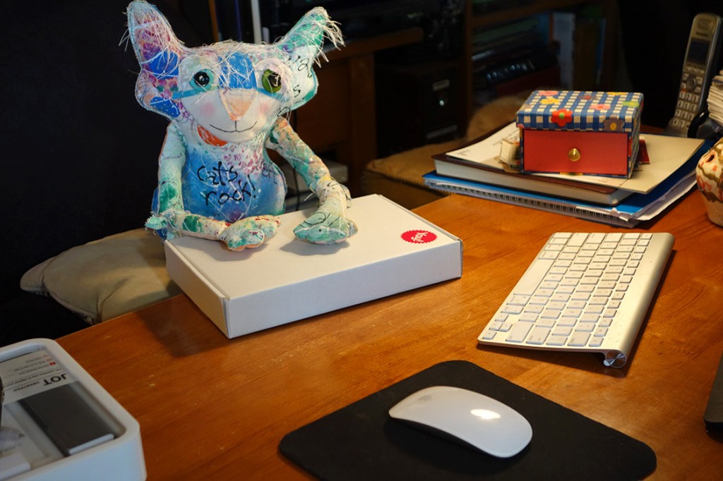 The Chairman cat doll is sitting at his desk with a box in front of him.