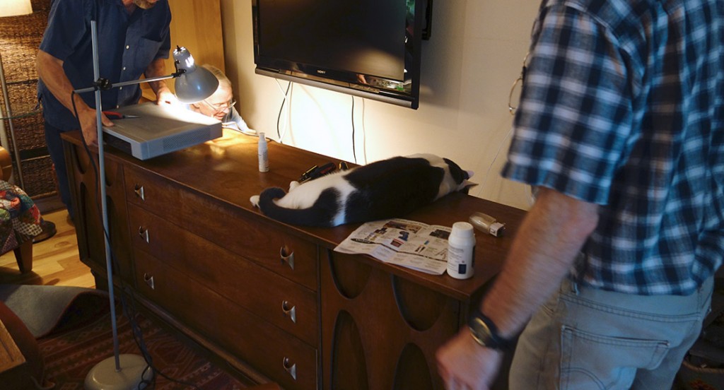 Wally sprawls across a credenza that the two Princes have moved while he stayed put.