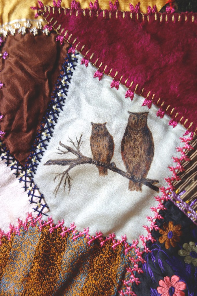 Two beautiful owls sitting on a tree branch.