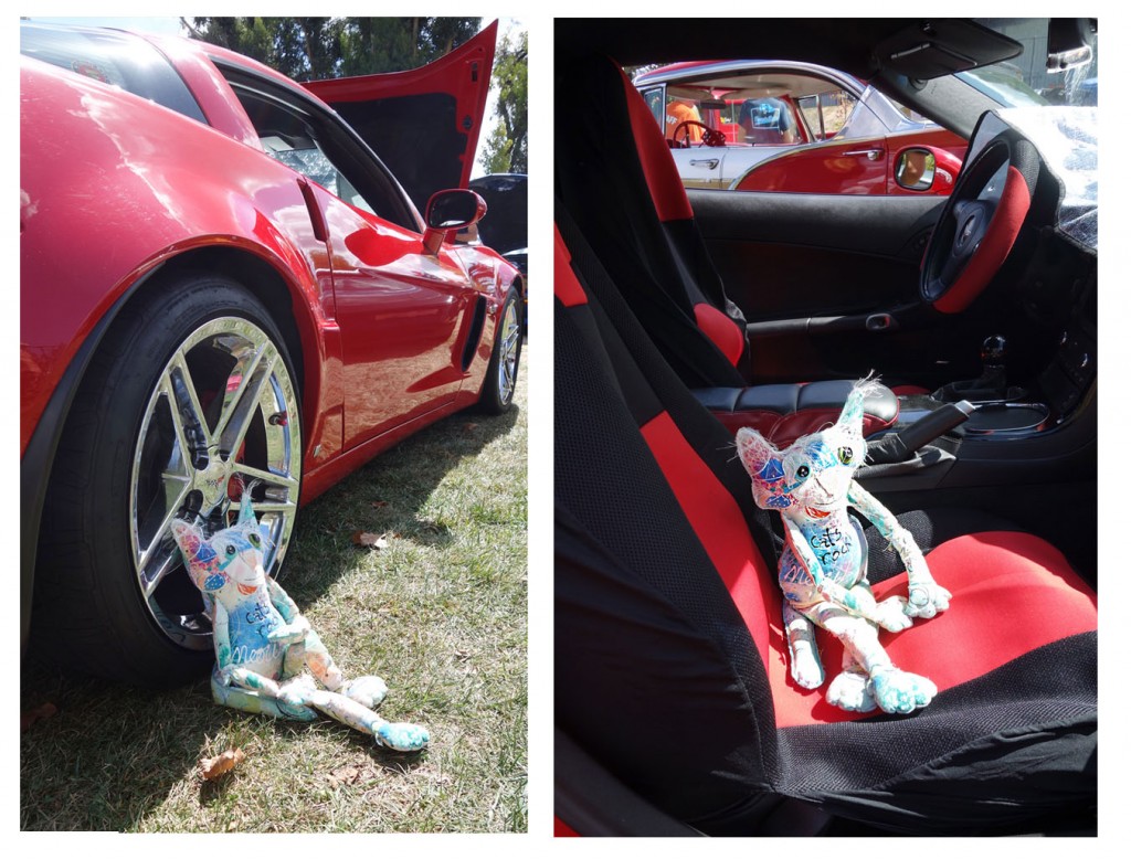 A beautiful red corvette! The Chairman is leaning agains the shiney chrome hubcap daydreaming. He is also shown sitting inside the car!