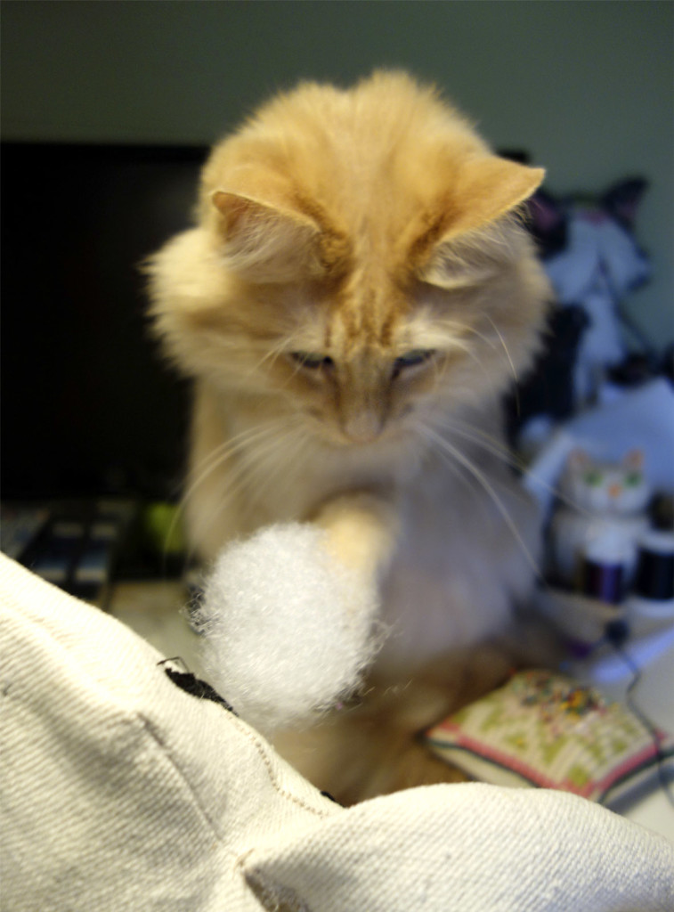 Rudy, the beautiful long-haired orange cat has some doll stuffing on the end of his paw. He looks like he is really helping!