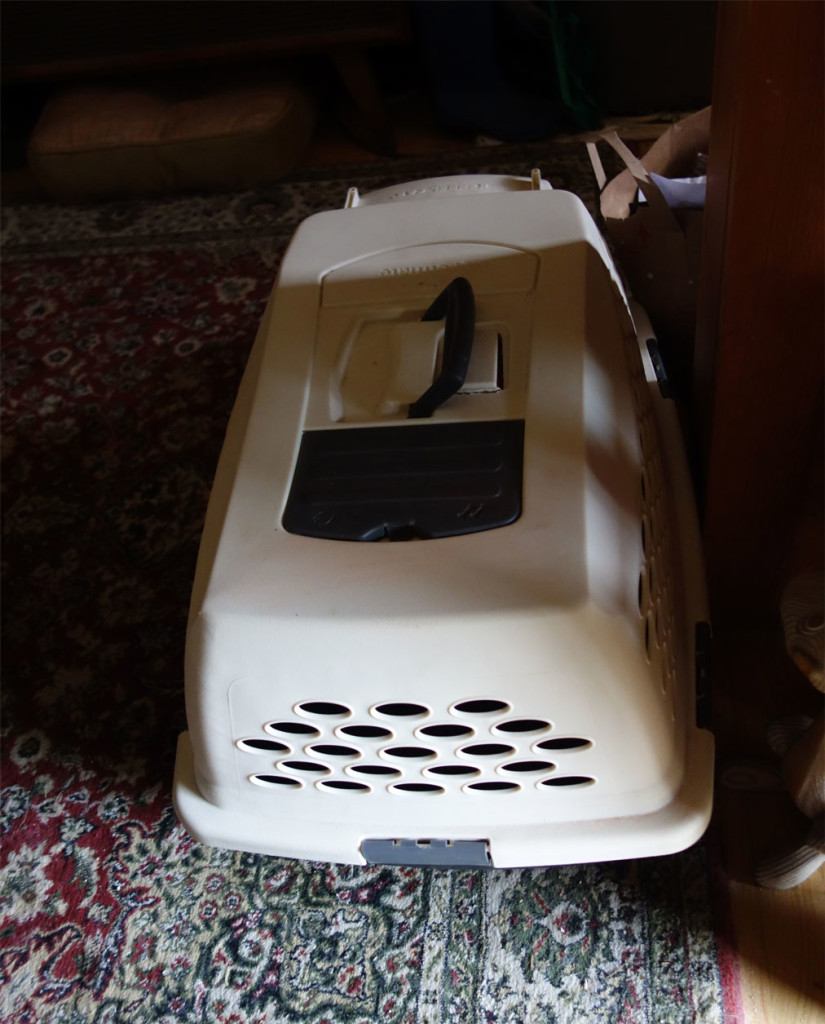 A photo of the dreaded cat carrier used to take cats to the veterinarian.