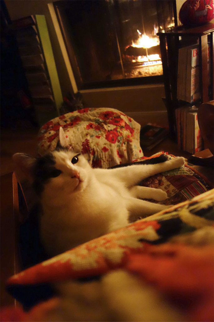 Wally is resting in front of a roaring fire in a very comfy chair.