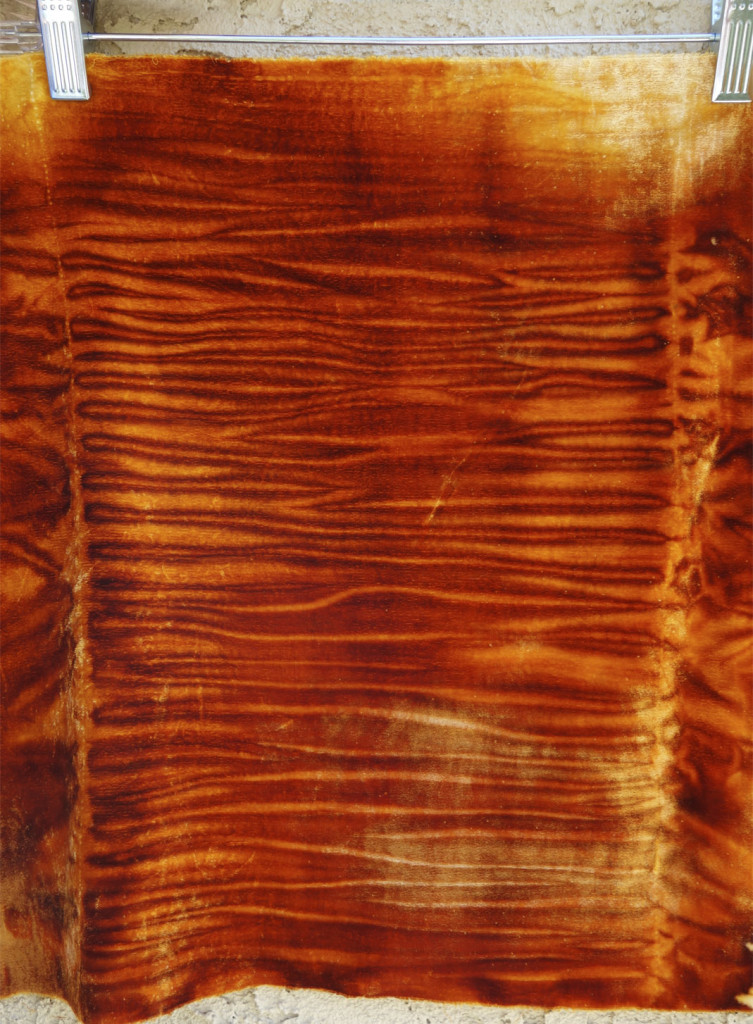 Shibori pole dyed silk velvet looks very much like an orange tabby cat.