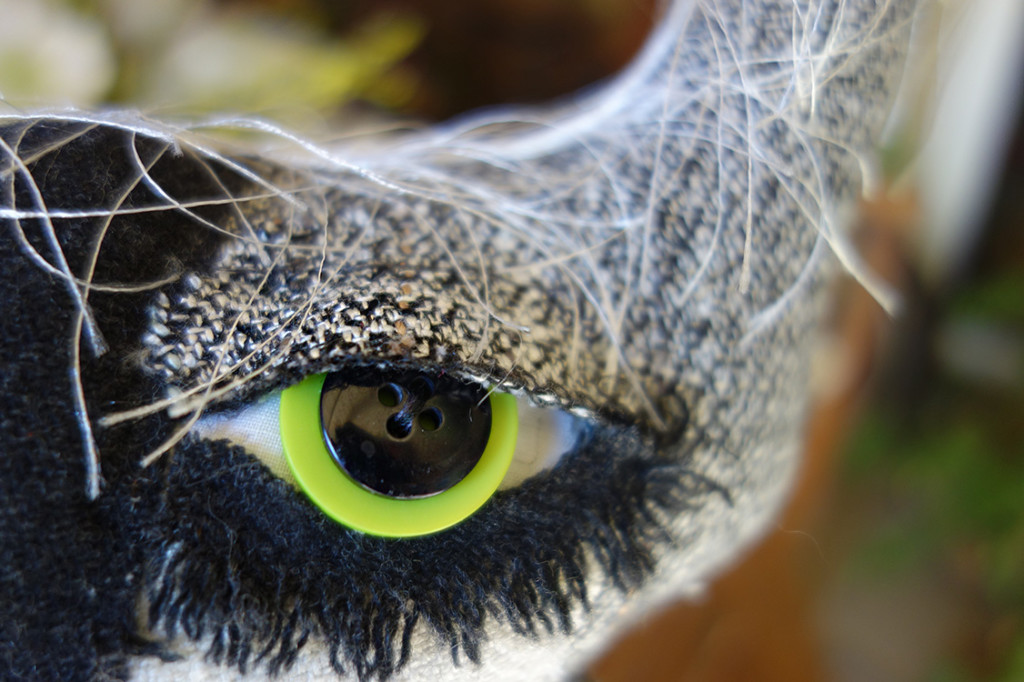 A closeup of a soft sculptured cat doll's eye with eyelid detailing and frayed lashes under the eye.