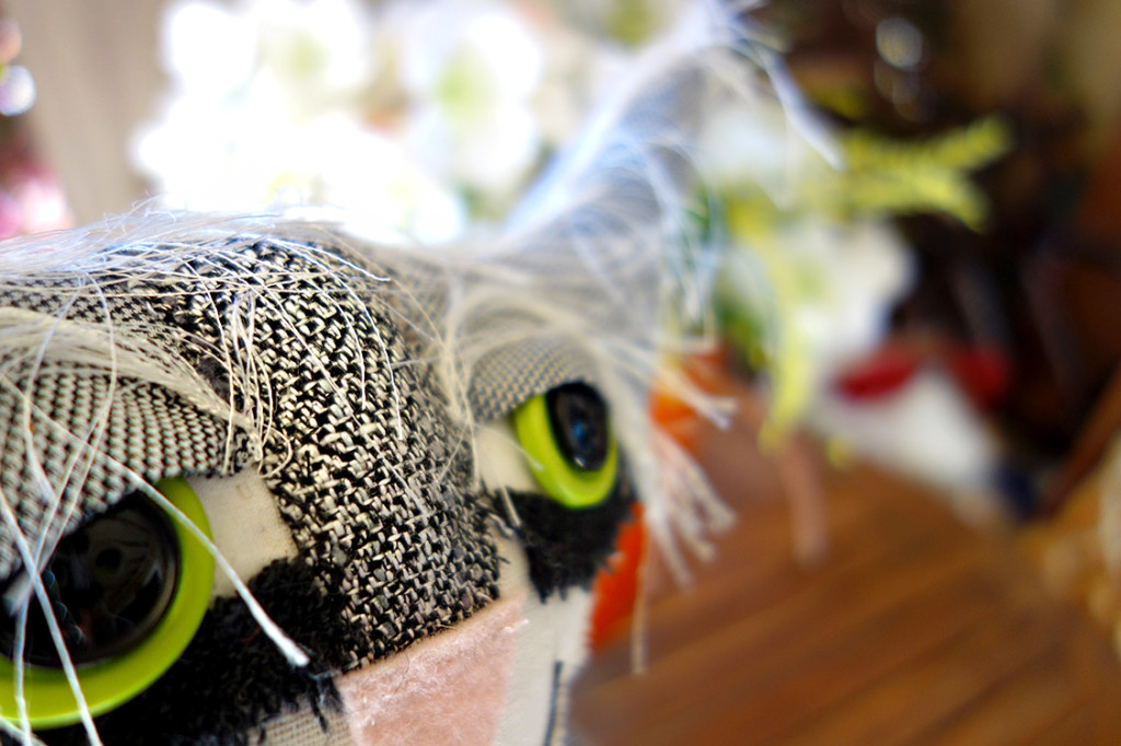 Detail shot of soft sculptured cat nose on Cooper, the cat.
