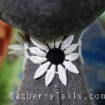Closeup of gray magnificat's flower collar.